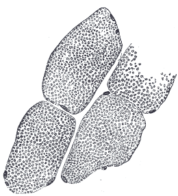 Fig. 373