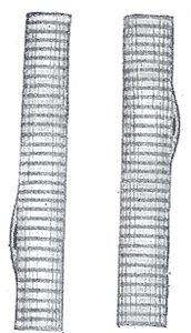 Fig. 374