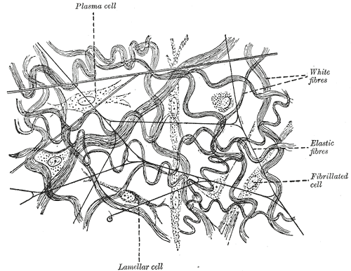 Fig. 377