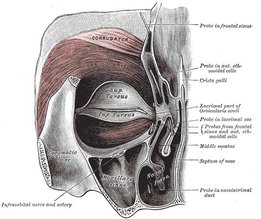 Fig. 379