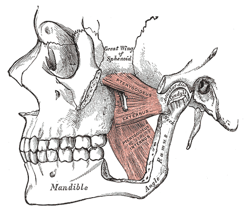 Fig. 383