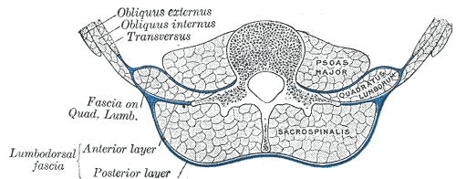 Fig. 388