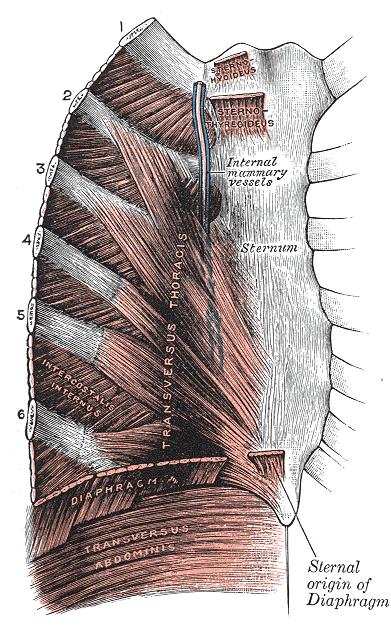 Fig. 390