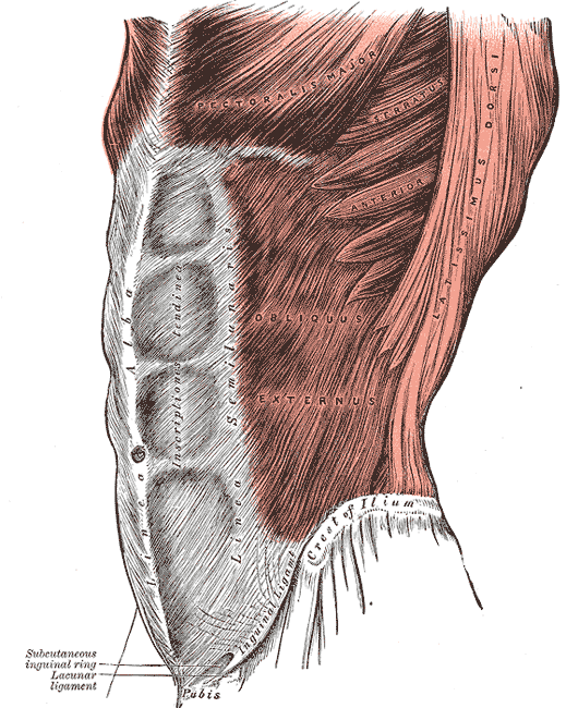 Fig. 392