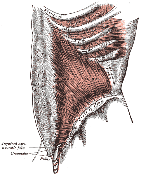 Fig. 395