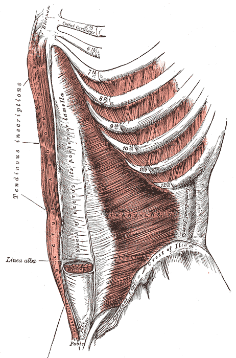 Fig. 397