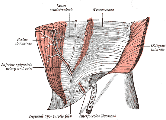 Fig. 398