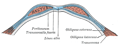 Fig. 399