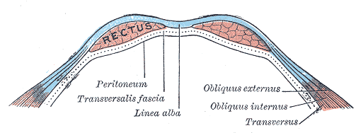 Fig. 400
