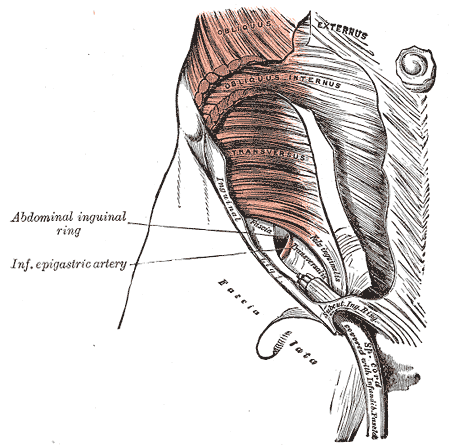 Fig. 401