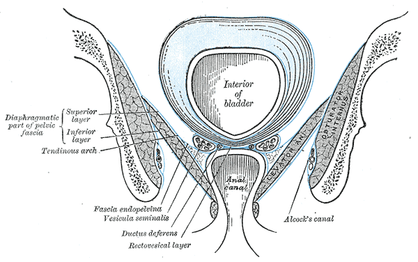 Fig. 402