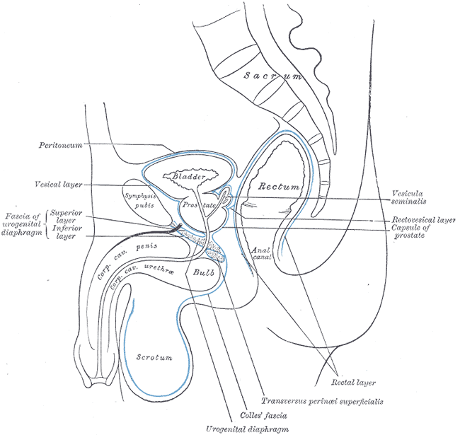 Fig. 403