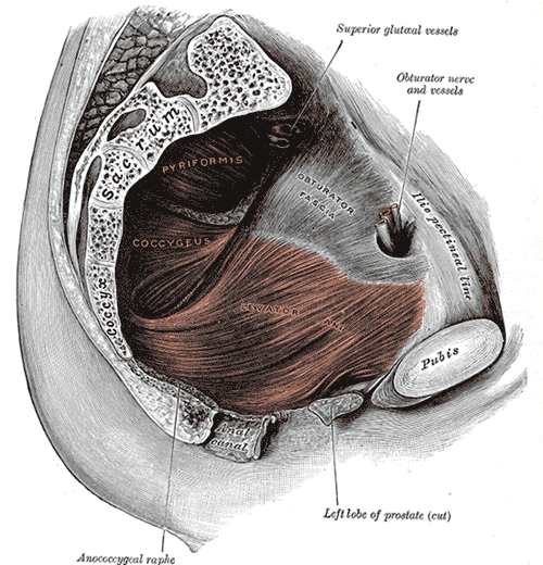 Fig. 404