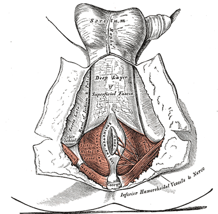 Fig. 405