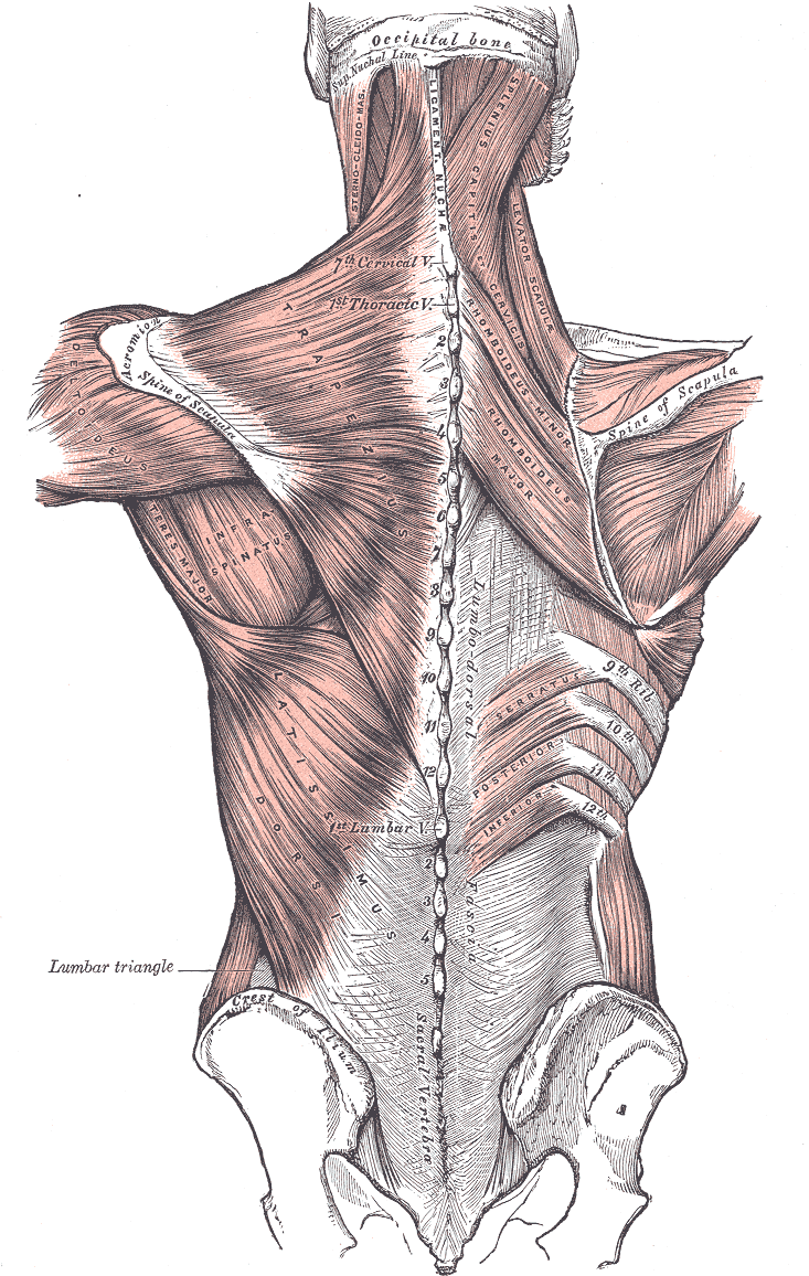 Fig. 409