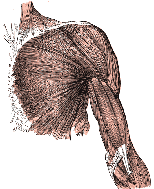 Fig. 410