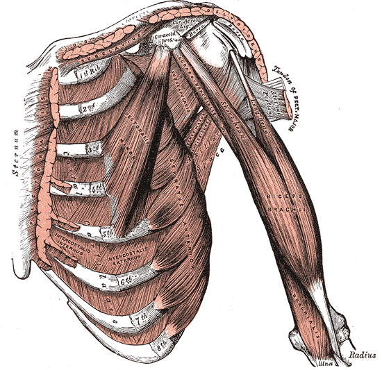 Fig. 411