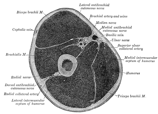 Fig. 413