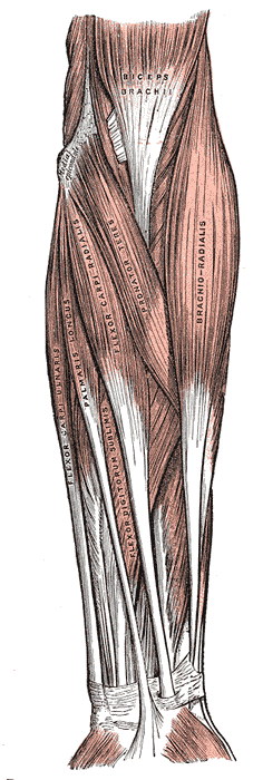 Fig. 414