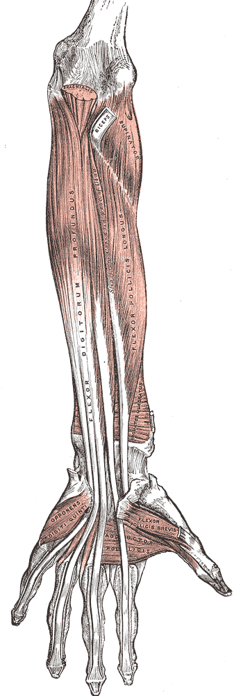 Fig. 415