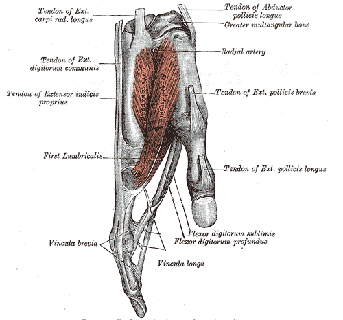 Fig. 416