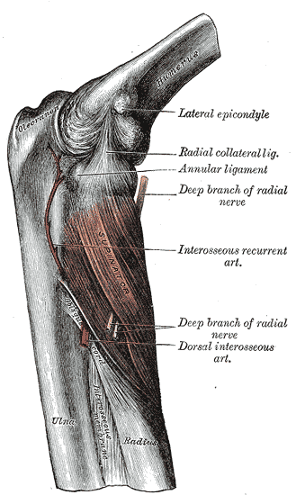 Fig. 420