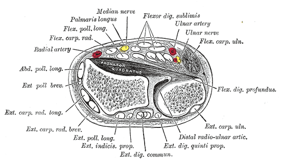 Fig. 421