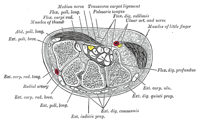 Fig. 422