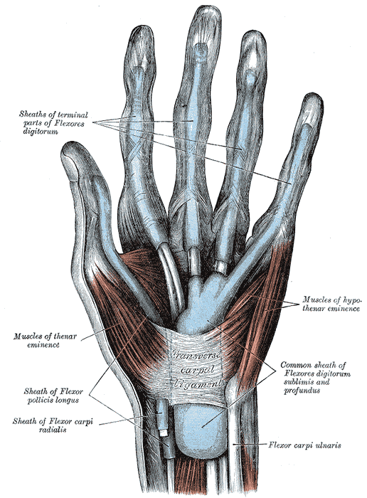 Fig. 423