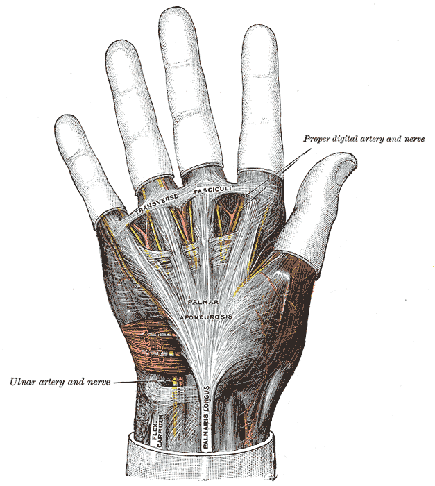 Fig. 425