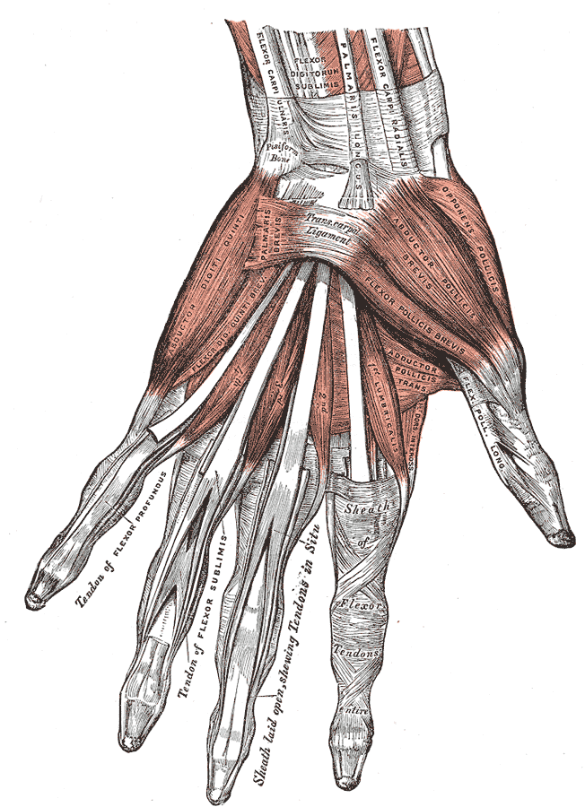 Fig. 427