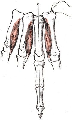 Fig. 429