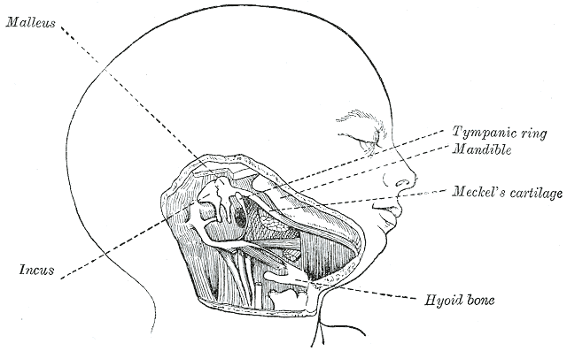 Fig. 43