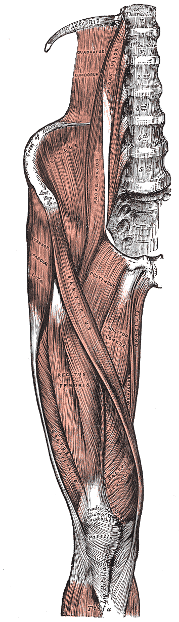Fig. 430