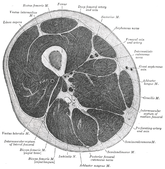Fig. 432
