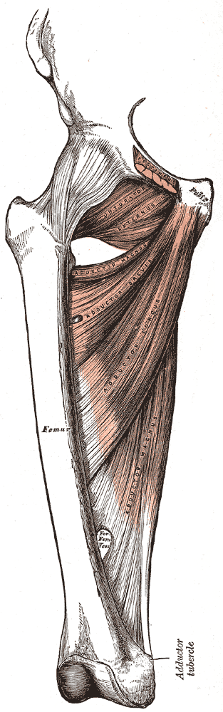 Fig. 433