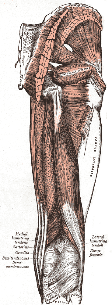 Fig. 434