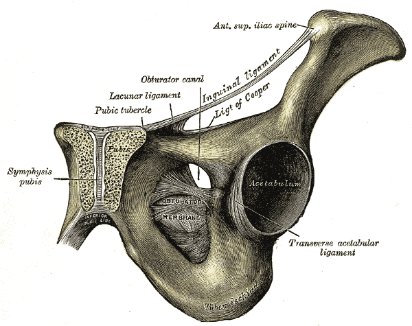 Fig. 435
