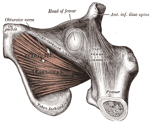 Fig. 436