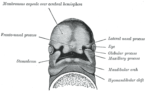 Fig. 44