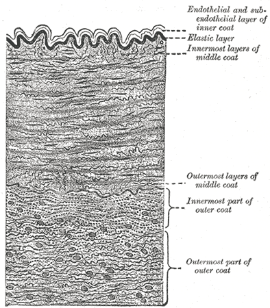Fig. 450