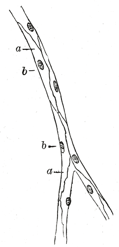 Fig. 451