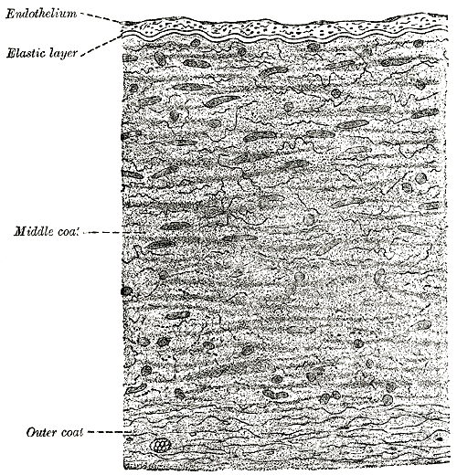 Fig. 452