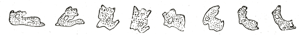 Fig. 455