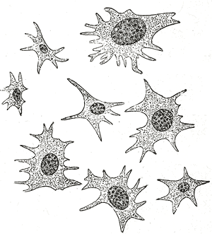 Fig. 456
