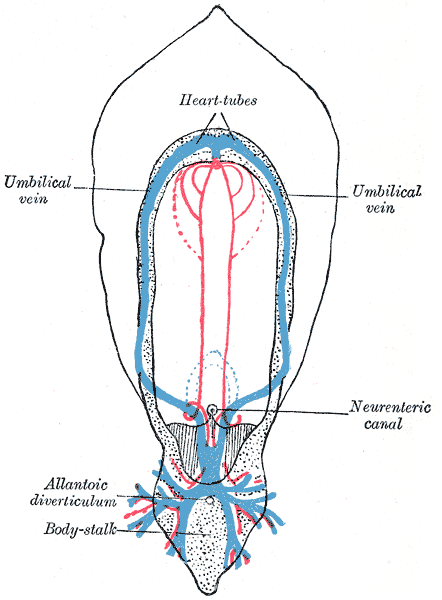 Fig. 458