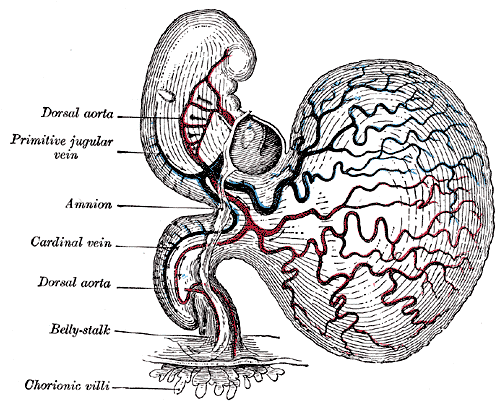 Fig. 459