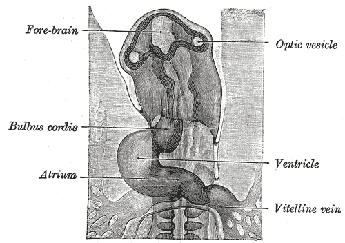 Fig. 460