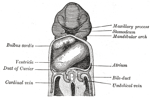 Fig. 463