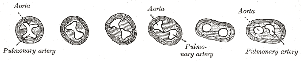 Fig. 471